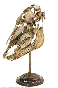 veterinary school of milan