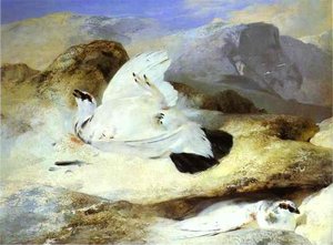 Ptarmigan — Sir Edwin Henry Landseer