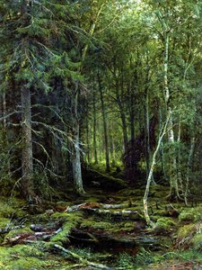Backwoods — Иван Шишкин
