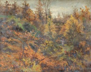 Autumn, Croham Hurst, Croydon, Surrey, North Side