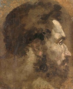 Head Of A Youth Seen In Profile — Domenico Di Pace Beccafumi
