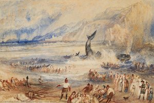 The Whale On Shore — J.m.w. Turner