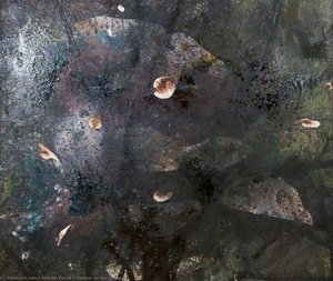 Fungus On The Ground — Michael Porter