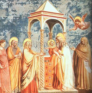 Apresentação No Templo — Giotto Di Bondone