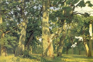Eichen, Abend (studie Zum Bild Eichenwald) — Ivan Ivanovich Shishkin