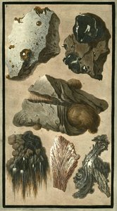 Plate 5, Rock Specimens Found After The 1779 Eruption — Pietro Fabris