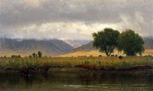 Buffalo on the Platte River