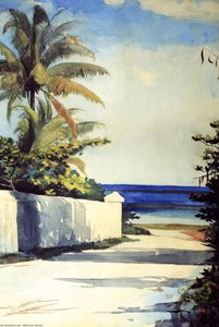 Via Nassau (anche Conosciuta Come No.1 Nassau Street) — Winslow Homer