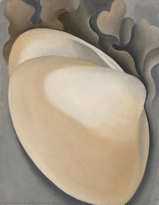 Conchiglia Di Vongola Color Sabbia Con Alghe — Georgia O'keeffe