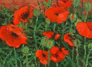 Poppies 2 — Catherine Mcwilliams