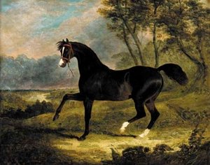 Camel, A Dark Bay Racehorse In A Landscape — John Frederick Herring Senior