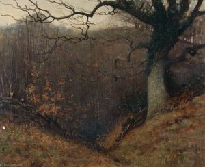 Half Lit Woodland Scene — Benjamin Haughton