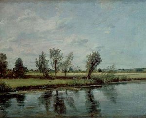 Acquaie Di Prati Vicino A Salisbury — John Constable