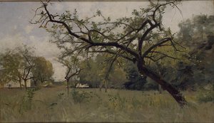 Pommier Dans Un Verger — Laurent Guetal