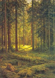 Nadelwald. Sonniger Tag — Ivan Ivanovich Shishkin