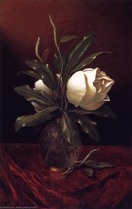 Two Magnolia Blossoms In A Glass Vase — Martin Johnson Heade