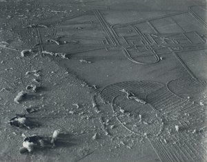 Dust Breeding (detail) — Man Ray