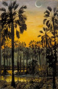 Palmyra-palmen Zur Flutzeit — Marianne North