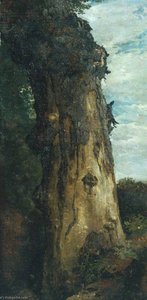 Study Of A Tree ('study From Nature') — John Linnell