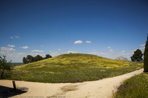 The Viera Dolmen — Javier Pérez González