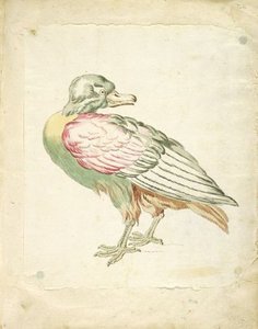 Bird Looking Backwards — Jean-baptiste Oudry