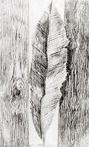 La Conducta De Las Hojas — Max Ernst