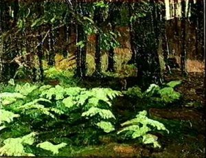 Ferns — Nikola Roerić