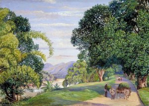 Veduta Di Peradeniya, Ceylon — Marianne North