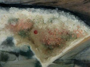 Rock Pool Salt Flowers — Michele David