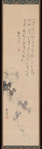 Morning Glories — Suzuki Kiitsu