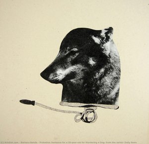Probation Sentence For A 20-year-old For Murdering A Dog, From The Series: Daily News — Barbara Bańda