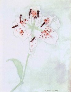 Lirio — Piet Mondrian