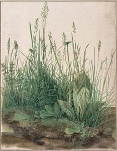 Velký Kousek Trávníku, 1503 — Albrecht Dürer