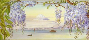 Távoli Kilátás Fujijama Hegyére Japániából És Wistáriáról — Marianne North