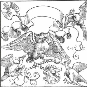 Sowa Walcząca Z Innymi Ptakami — Albrecht Dürer
