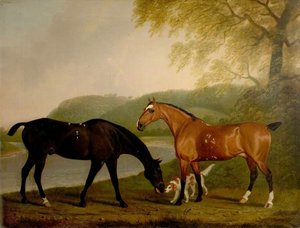 Horses And Dog In A Landscape — Clifton Tomson