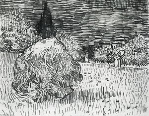 Bush En Le Parc À Arles — Vincent Willem Van Gogh