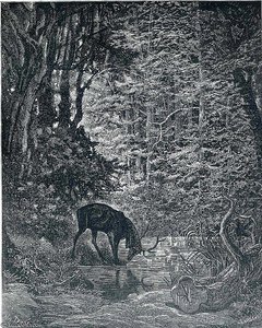 Untitled (8116) - Nevardyta (8116) — Gustavas Dorė