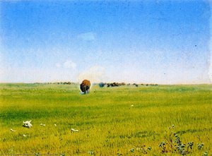 North Western Prairie With Buffalo No. 7 — William George Richardson Hind