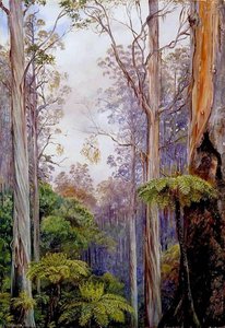 Eucaliptos Y Helechos Arborescentes, Victoria — Marianne North