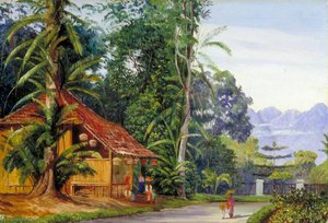 Ogrodnikowy Domek Botaniczny Bogorii — Marianne North