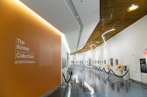 Die Kinsey Sammlung Afroamerikanischer Kunst – Geschichte
