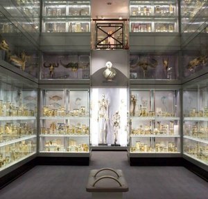 Royal College of Veterinary Surgeons