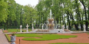 Summer Garden