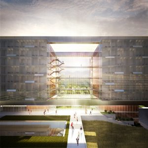 World Health Organization