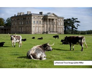 National Trust