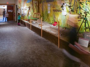 Museum of Ontario Archaeology
