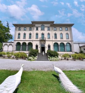 Fondazione Magnani-Rocca