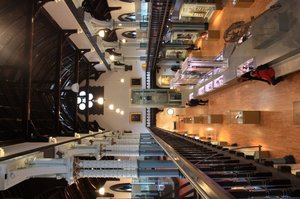 The Hunterian Museum and Art Gallery