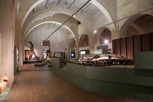 Museo Civico